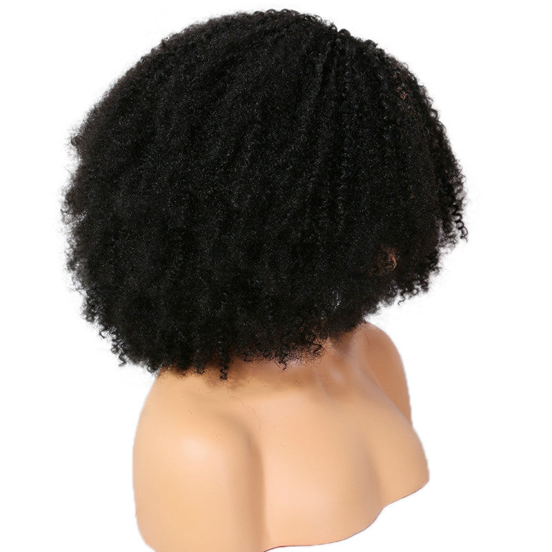 Brazilian Remy Human Hair Coily Afro Curly U Part Wig