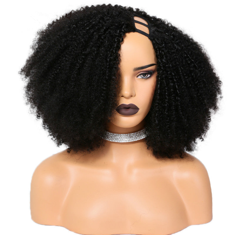 Brazilian Remy Human Hair Coily Afro Curly U Part Wig