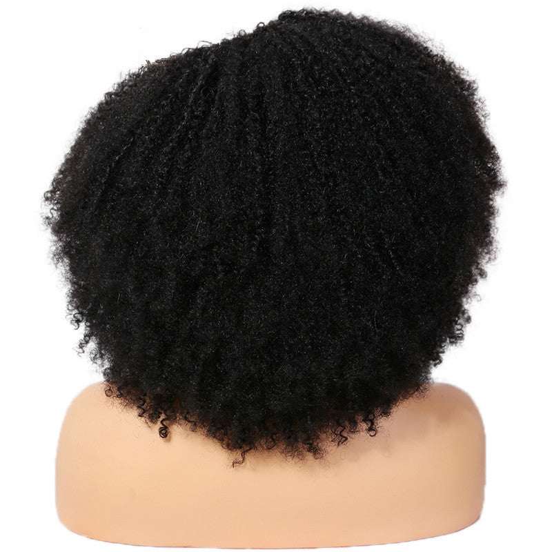 Brazilian Remy Human Hair Coily Afro Curly U Part Wig